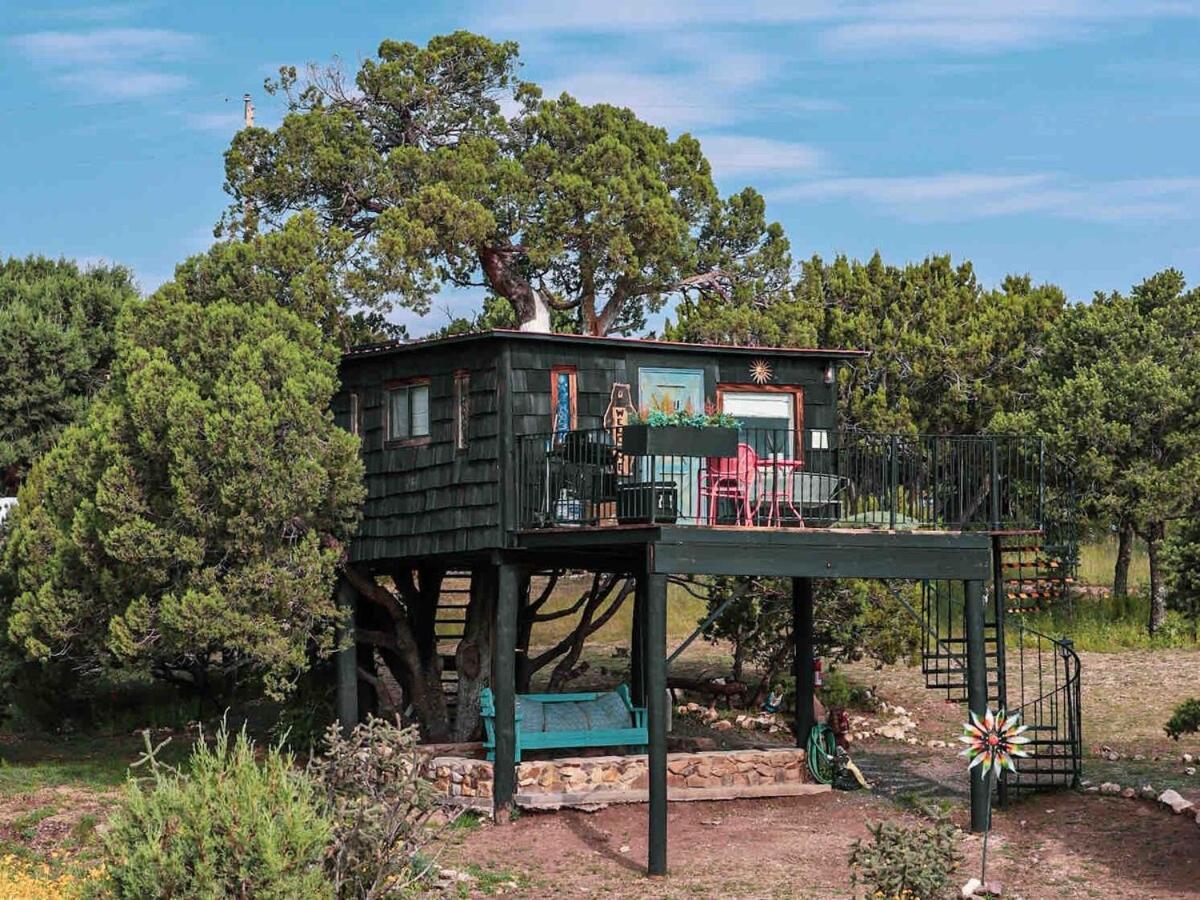 NogalAshley'S Treehouse At El Mistico Ranch别墅 外观 照片
